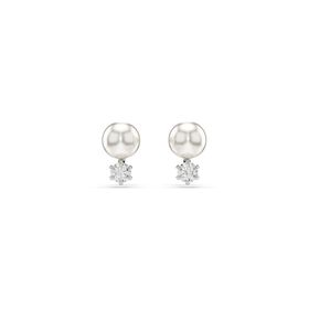 Swarovski 5694225 Kadın Küpe
