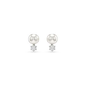 Swarovski 5694225 Kadın Küpe