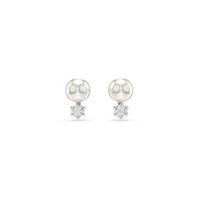 Swarovski 5694225 Kadın Küpe