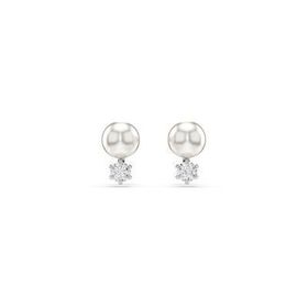 Swarovski 5694225 Kadın Küpe