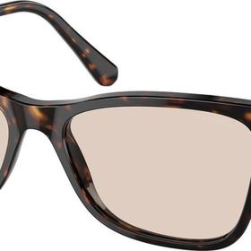 Swarovski SK6004 1002M4 55 Kahverengi Kadın Güneş Gözlüğü