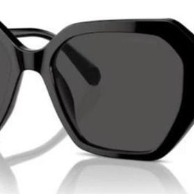Swarovski SK6017 100187 56 Kadın Güneş Gözlüğü