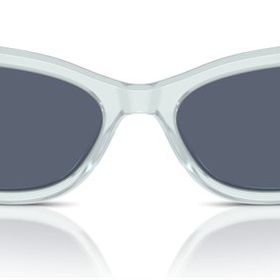 Swarovski SK6019 10242V 54 Kadın Güneş Gözlüğü