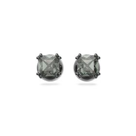 Swarovski SWR5642511 Kadın Küpe
