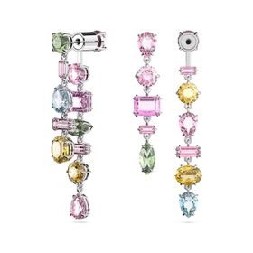 Swarovski SWR5656417 Kadın Küpe