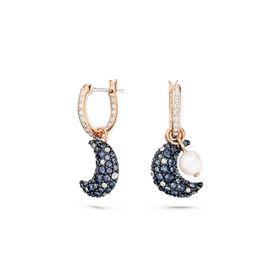 Swarovski SWR5671569 Kadın Küpe