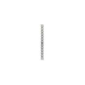 Swatch AYSS254G Irony Lady Bant Kol Saati Kayışı