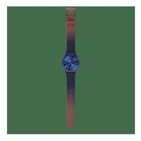 Swatch SS08N117 Kadın Kol Saati