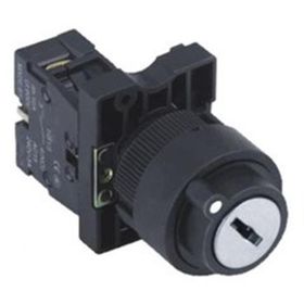 Swion LAY5-EG21 22 mm Anahtarlı Kalıcı Buton