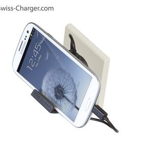Swiss Charger SCH-20022 EcoMax Charger