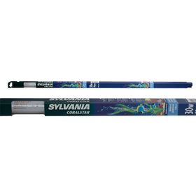 Sylvania Actınıc Coralstar 30W Floresan Lamba