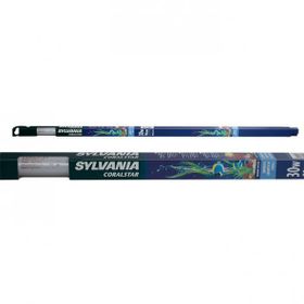 Sylvania Actınıc Coralstar 30W Floresan Lamba