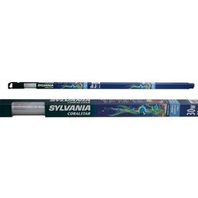 Sylvania Actınıc Coralstar 30W Floresan Lamba