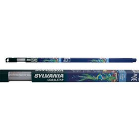 Sylvania Actınıc Coralstar 30W Floresan Lamba