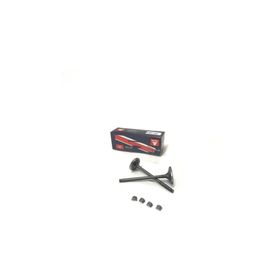 Sym Joymax 250 Motor Brandası