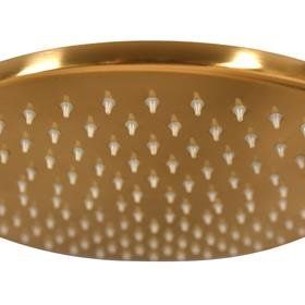 T-may Gold XL Mat Altın Renkli Tepe Duş Başlığı