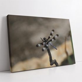 Tablo Center 44x34 cm Yusufçuk Kanvas Tablo