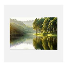 Tablo Center 50x70 cm Orman Manzara Kanvas Tablo