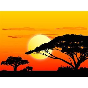 Tablolife 35x50 cm Afrika'da Günbatımı Kanvas Tablo