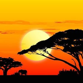 Tablolife 35x50 cm Afrika'da Günbatımı Kanvas Tablo