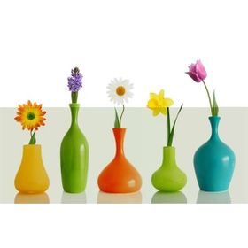 Tablolife 35x50 cm Beş Farklı Çiçek Kanvas Tablo