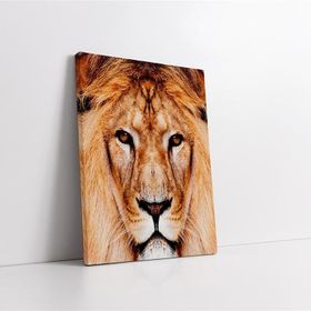 Tablolife 60x90 cm Aslan Yakın Çekim Kanvas Tablo