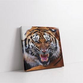 Tablolife 60x90 cm Aslan Yakın Çekim Kanvas Tablo