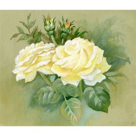 Tablolife Floribunda 35 x 50 cm Kanvas Tablo