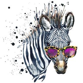 Tablolife Güneş Gözlüklü Zebra 35 x 50 cm Kanvas Tablo