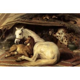 Tablolife Hayvanlar Birlikte Yatarken 35 x 50 cm Kanvas Tablo