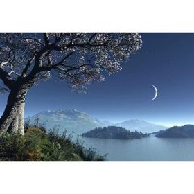 Tablolife Hilal ve Sakura Ağacı 35 x 50 cm Kanvas Tablo
