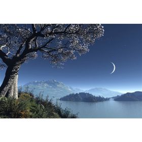 Tablolife Hilal ve Sakura Ağacı 35 x 50 cm Kanvas Tablo