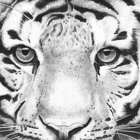 Tablolife Kaplanla Burun Buruna 35 x 50 cm Kanvas Tablo