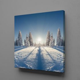Tablolife KARLI AĞAÇLAR 35 x 50 cm KANVAS TABLO