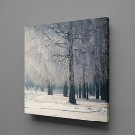 Tablolife KARLI AĞAÇLAR 35 x 50 cm KANVAS TABLO