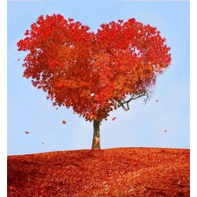 Tablolife Kırmızı Kalp Ağacı 60 x 90 cm Kanvas Tablo