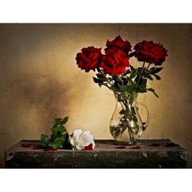 Tablolife Kırmızı ve Beyaz Güller 35 x 50 cm Kanvas Tablo