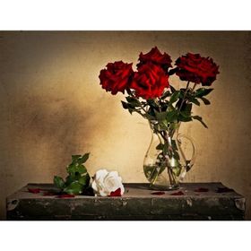 Tablolife Kırmızı ve Beyaz Güller 35 x 50 cm Kanvas Tablo
