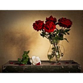 Tablolife Kırmızı ve Beyaz Güller 35 x 50 cm Kanvas Tablo