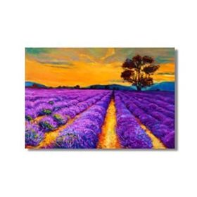 Tablolife Lavanta Tarlası 35 x 50 cm Kanvas Tablo