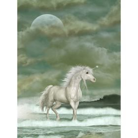 Tablolife Pegasus 60x90 cm Kanvas Tablo