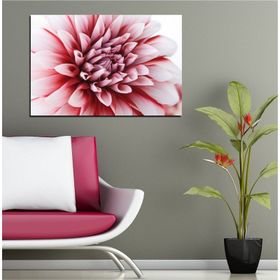 Tablolife Pembe Gerbera 35x50 cm Kanvas Tablo