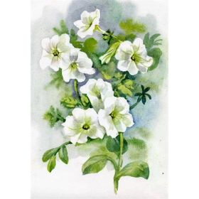 Tablolife Petunya 60x90 cm Kanvas Tablo