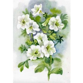 Tablolife Petunya 60x90 cm Kanvas Tablo