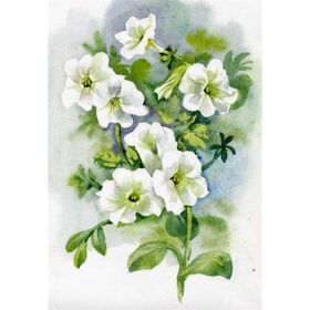 Tablolife Petunya 60x90 cm Kanvas Tablo