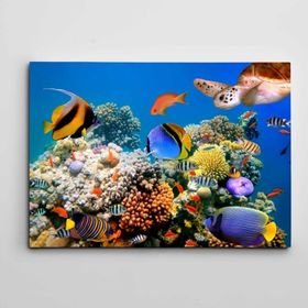 Tablolife Renkli Balıklar 60x90 cm Kanvas Tablo