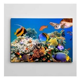 Tablolife Renkli Balıklar 60x90 cm Kanvas Tablo