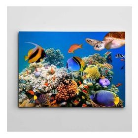 Tablolife Renkli Balıklar 60x90 cm Kanvas Tablo