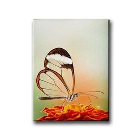 Tablolife Renkli Balıklar 60x90 cm Kanvas Tablo