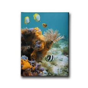 Tablolife Renkli Balıklar 60x90 cm Kanvas Tablo
